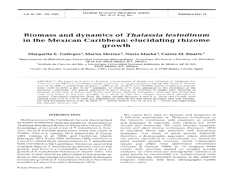 Biomass and Dynamics of Thalassia Testudinum in the Mexican Caribbean: Elucidating Rhizome Growth
