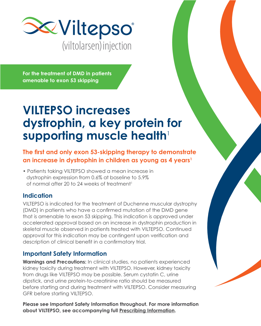 VILTEPSO Increases Dystrophin, a Key Protein for Supporting Muscle Health1