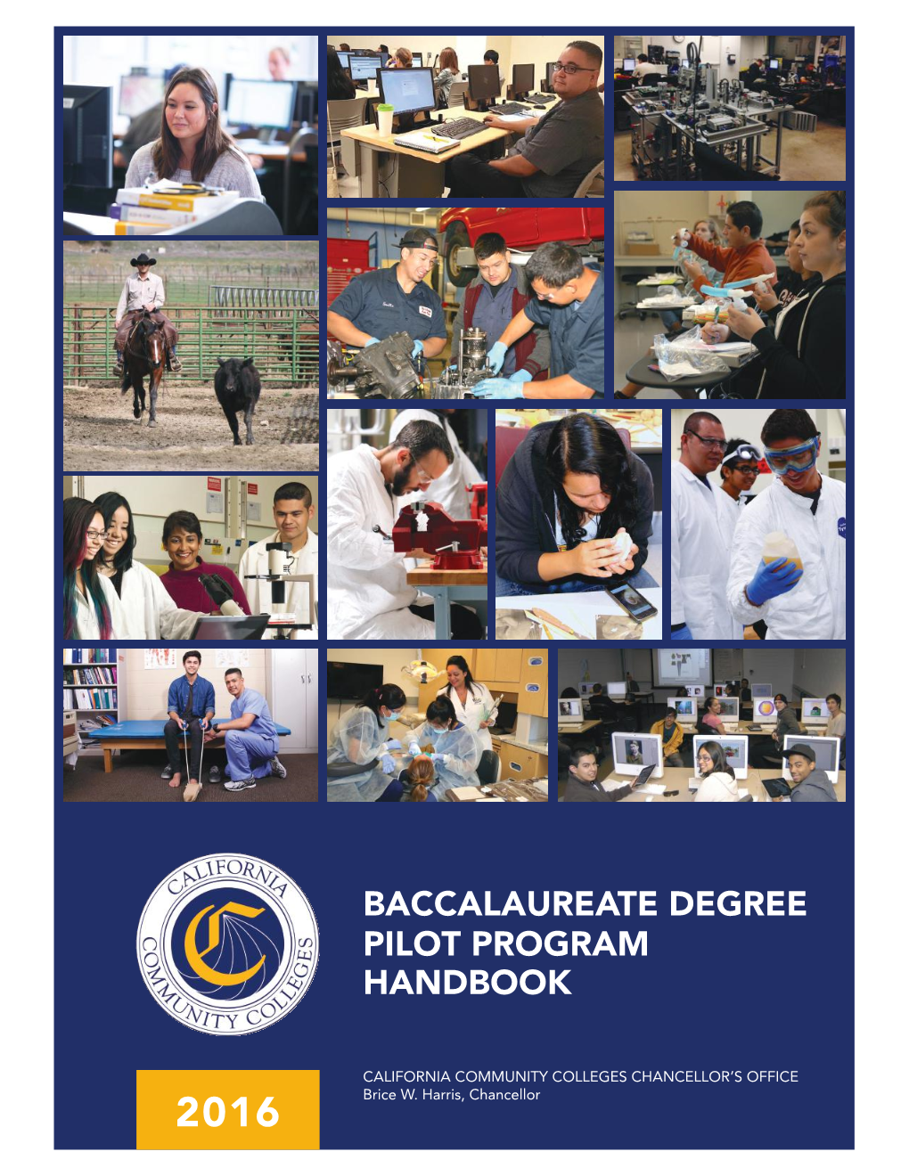 Baccalaureate Degree Pilot Program Handbook