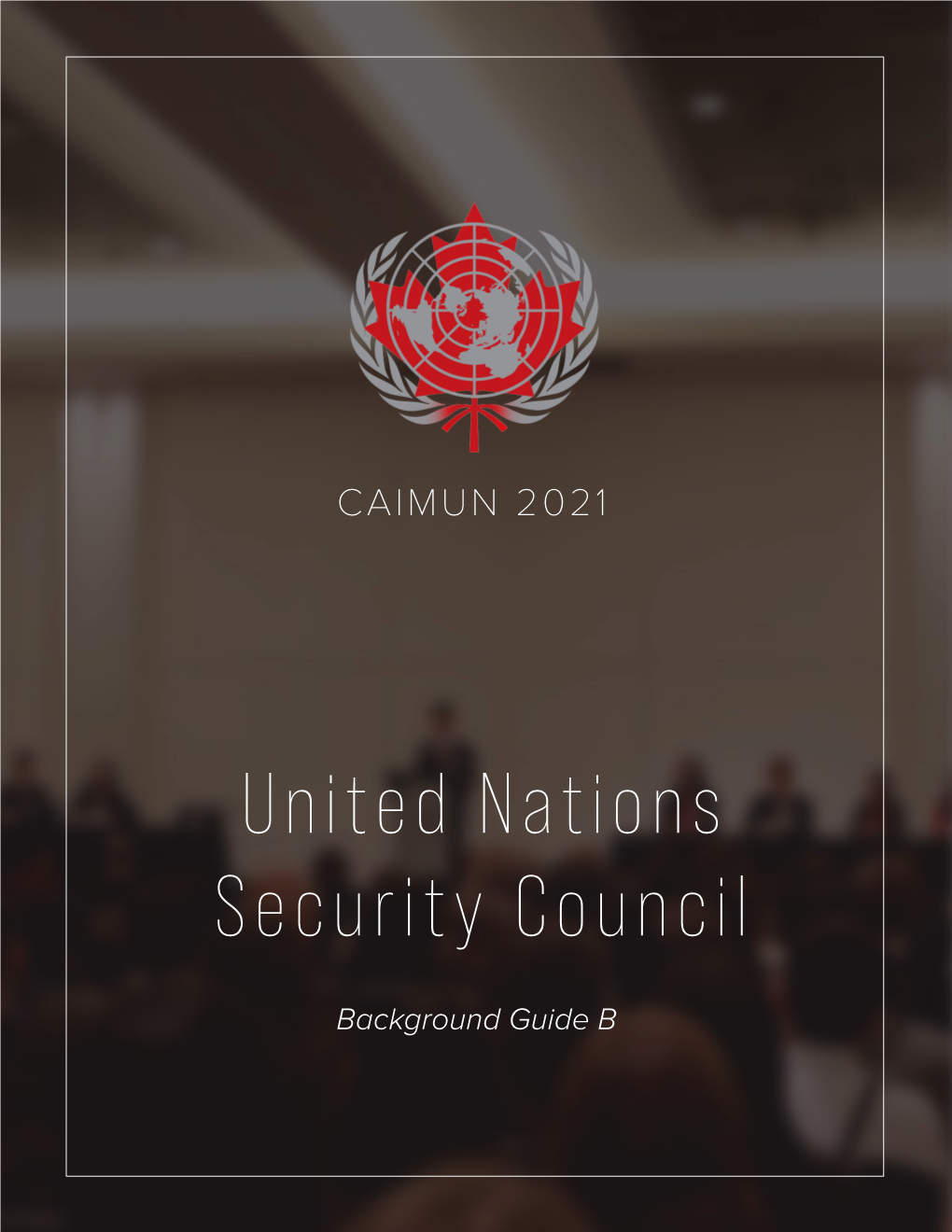 United Nations Security Council