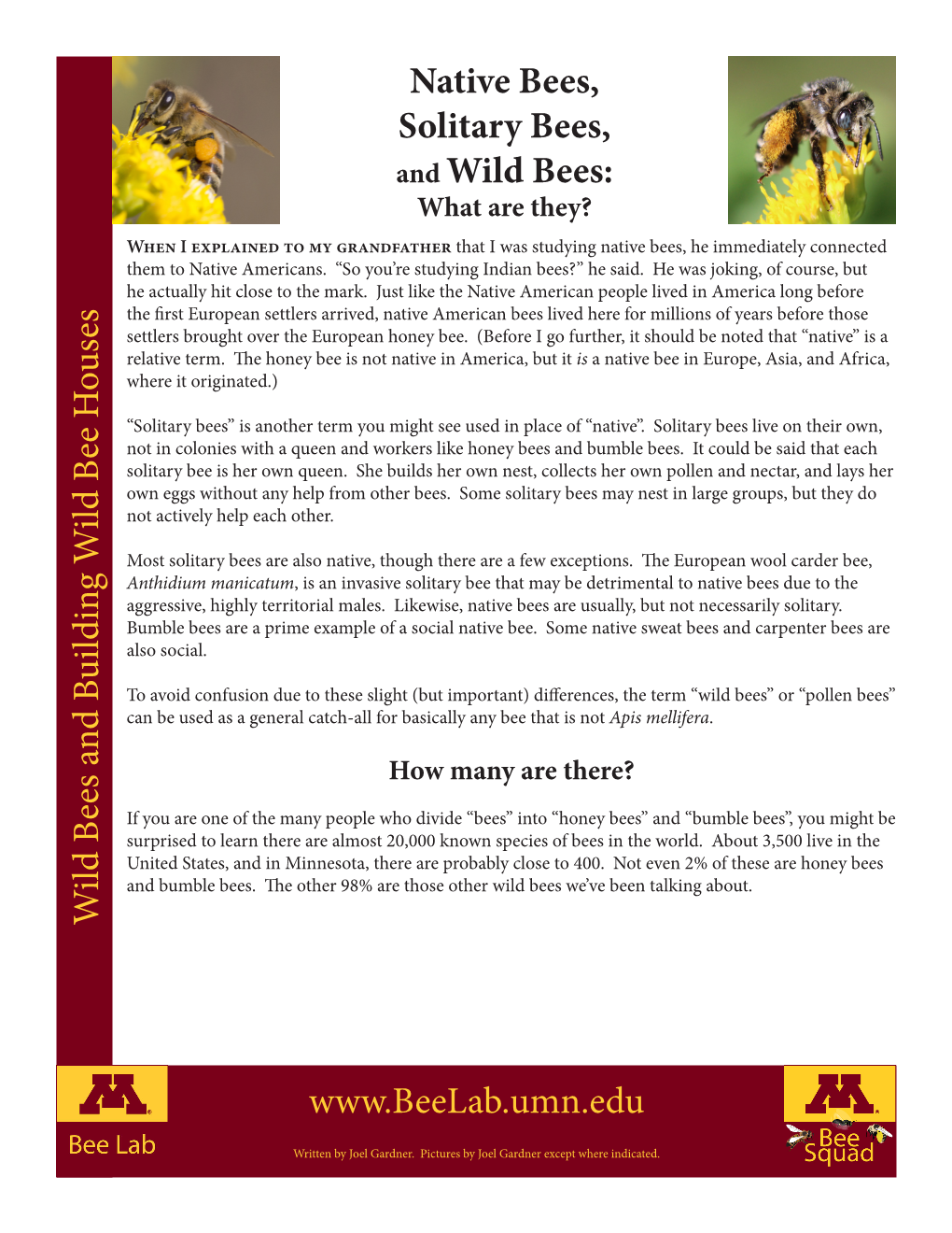 Native Bees, Solitary Bees, and Wild Bees