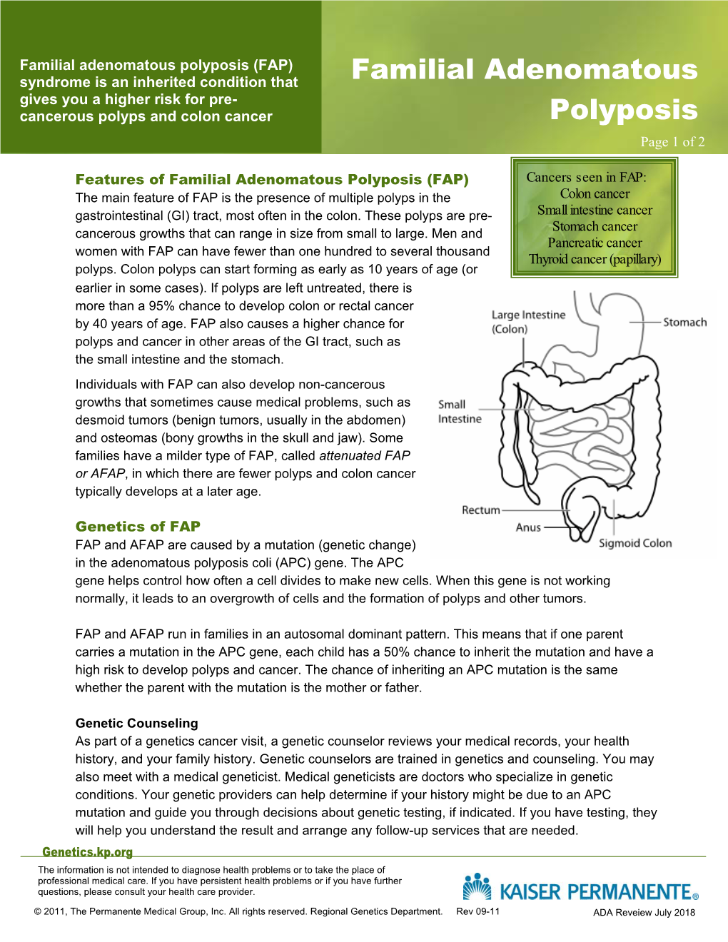 Familial Adenomatous Polyposis (FAP)