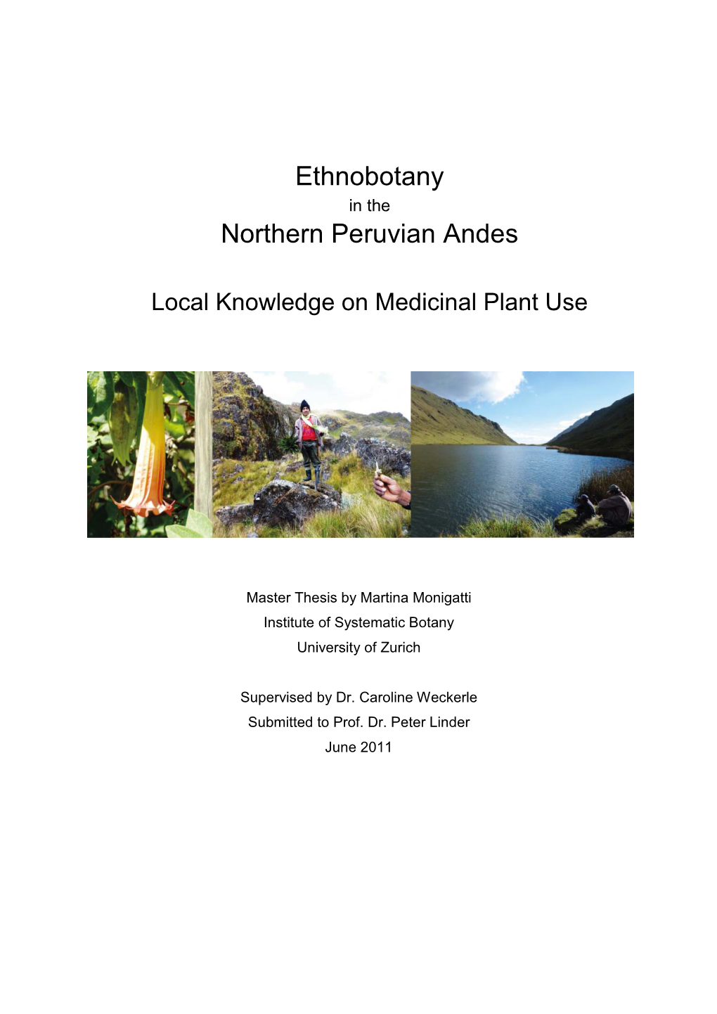 Ethnobotany Northern Peruvian Andes