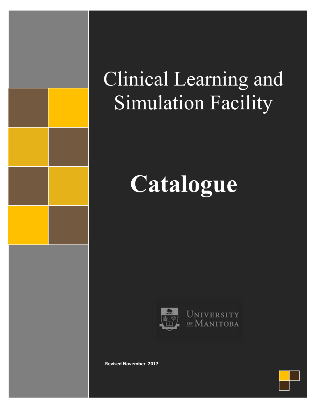 Clinical Learning and Simulation Facility