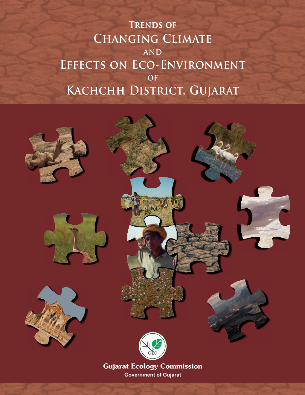 Changing Climate Effects on Eco-Environment Kachchh District
