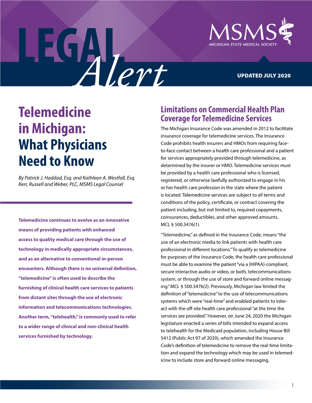 Telemedicine in Michigan: What Physicians Need to Know