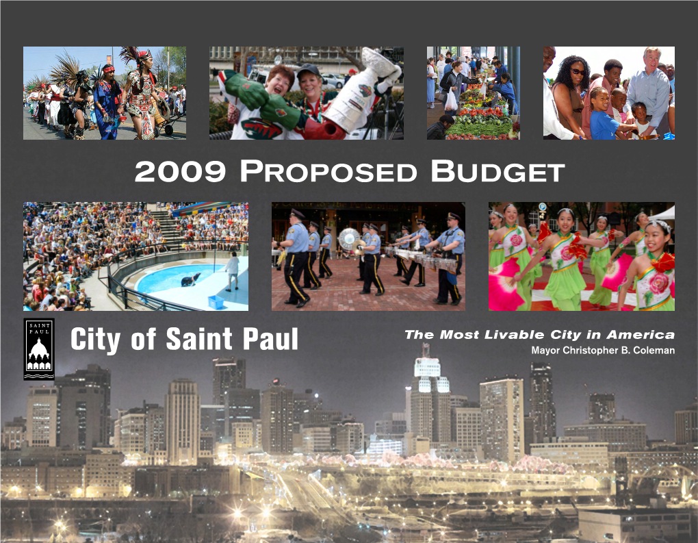 2009 Proposed Budget (Pdf)