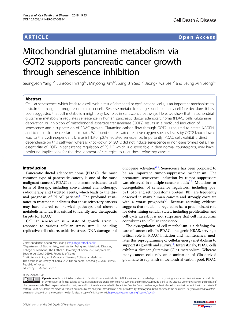 Mitochondrial Glutamine Metabolism Via GOT2 Supports Pancreatic