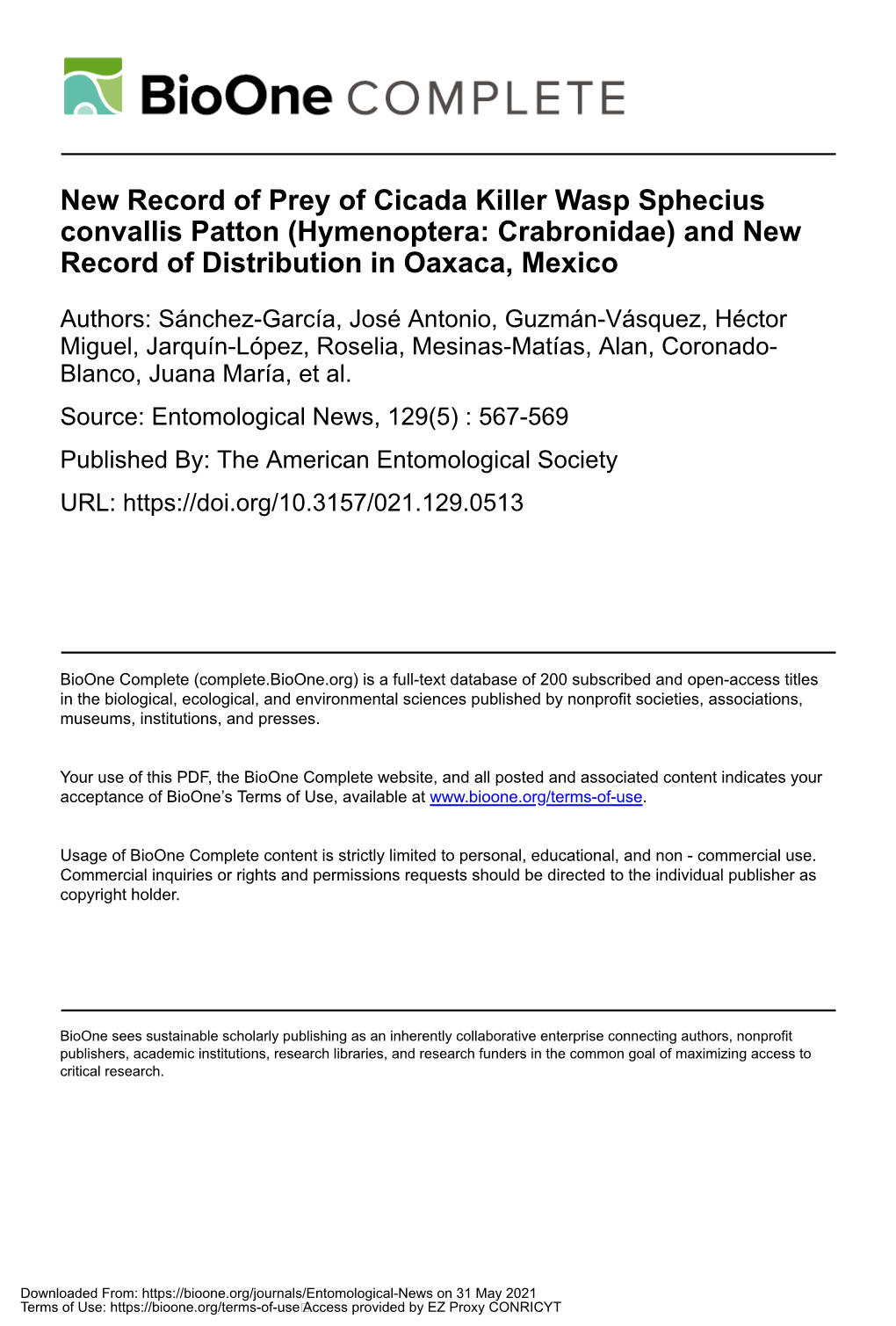 New Record of Prey of Cicada Killer Wasp Sphecius Convallis Patton (Hymenoptera: Crabronidae) and New Record of Distribution in Oaxaca, Mexico