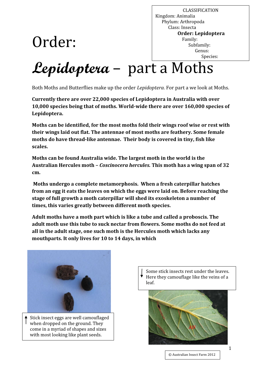 Order: Lepidoptera – Part a Moths