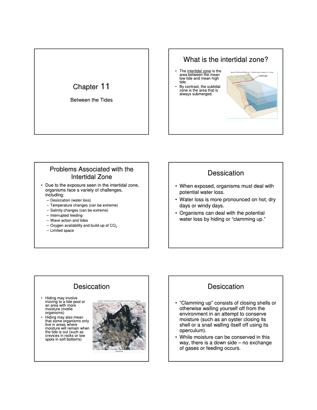 Chapter 11 What Is the Intertidal Zone? Dessication Desiccation