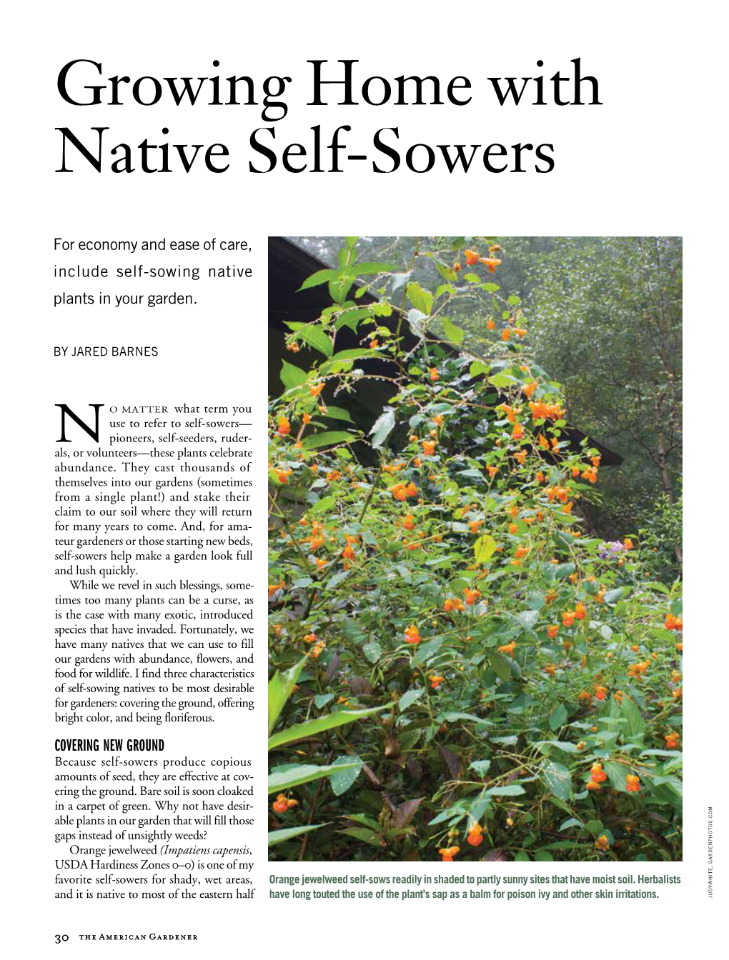 Self-Sowing Natives by Jared Barnes
