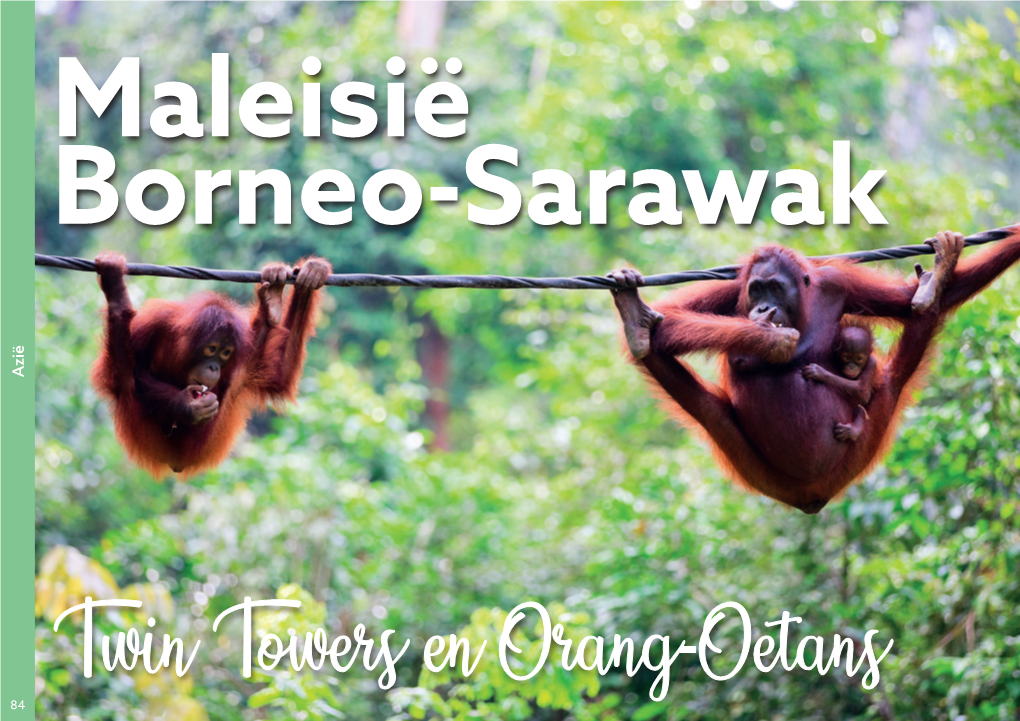 Maleisië Borneo-Sarawak Azië