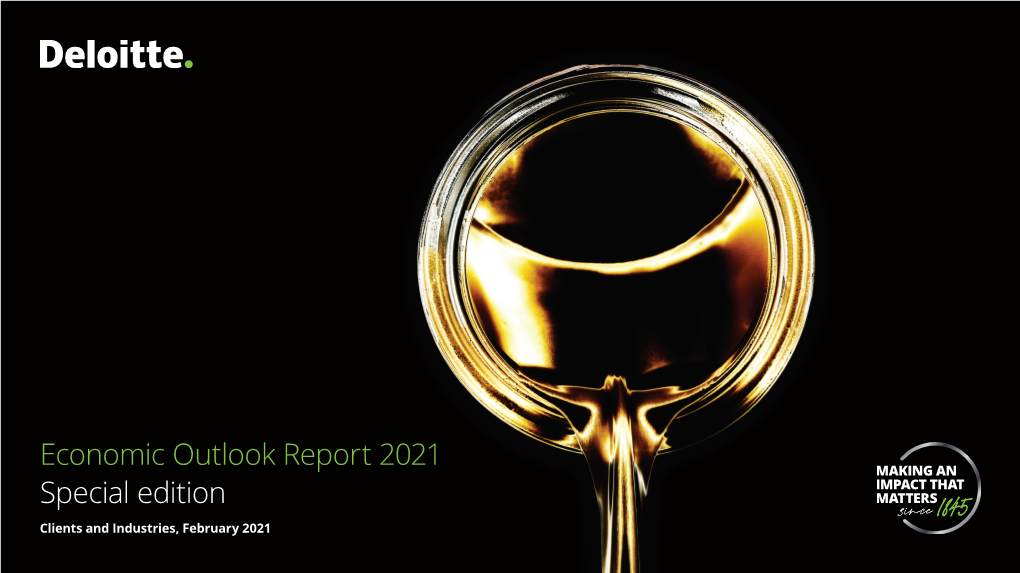 Economic Outlook Report 2021 Special Edition Clients and Industries, February 2021