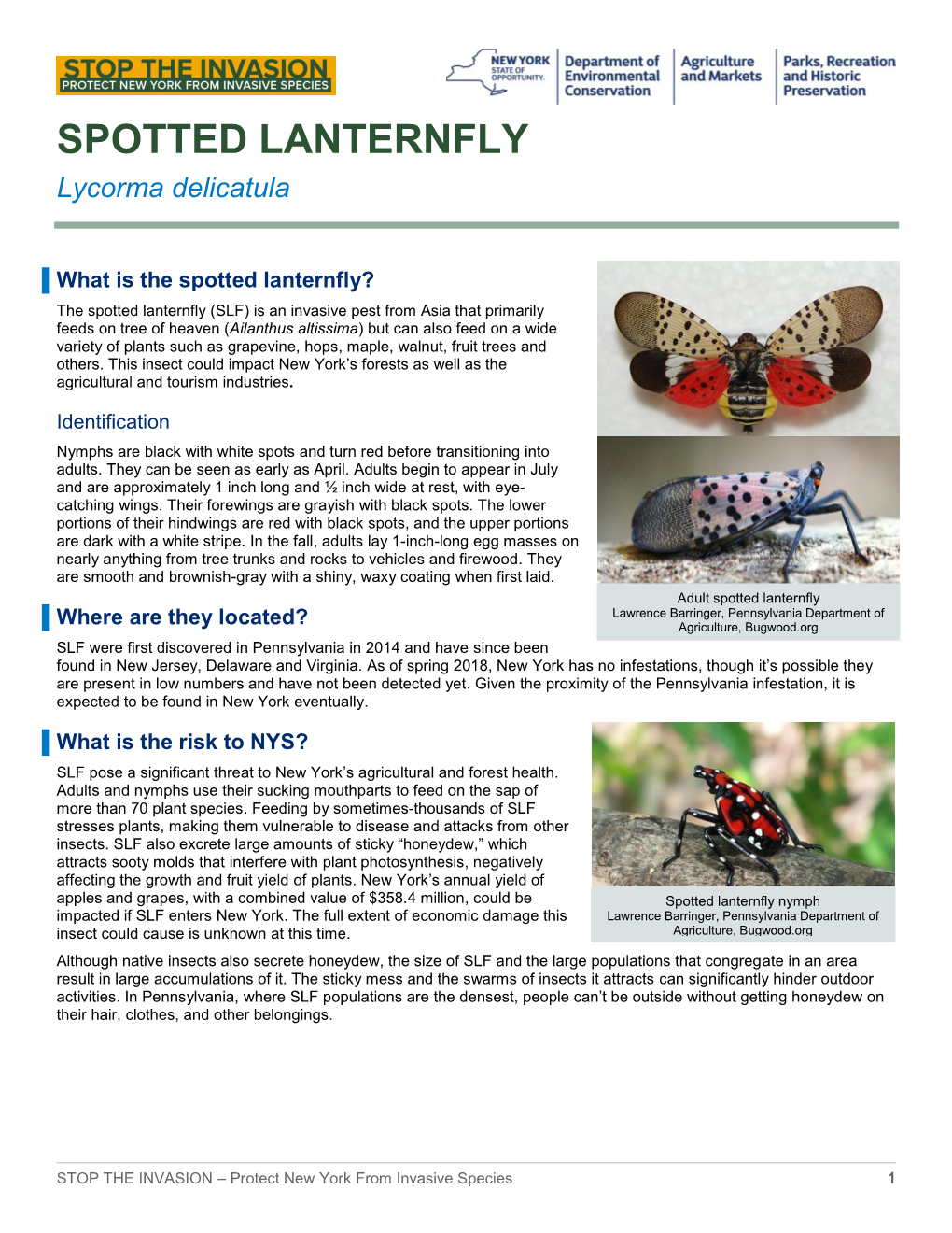 Spotted Lanternfly Fact Sheet