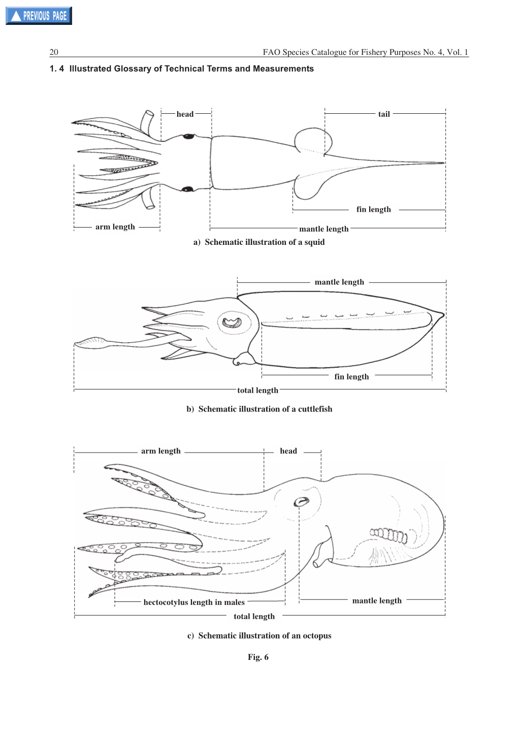 1.4 Illustrated Glossary of Technical Terms and Measurements