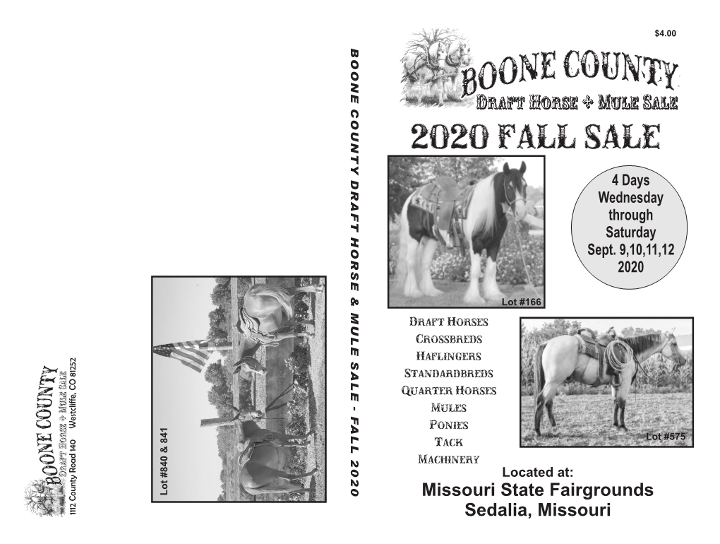 2020 Fall Sale Y