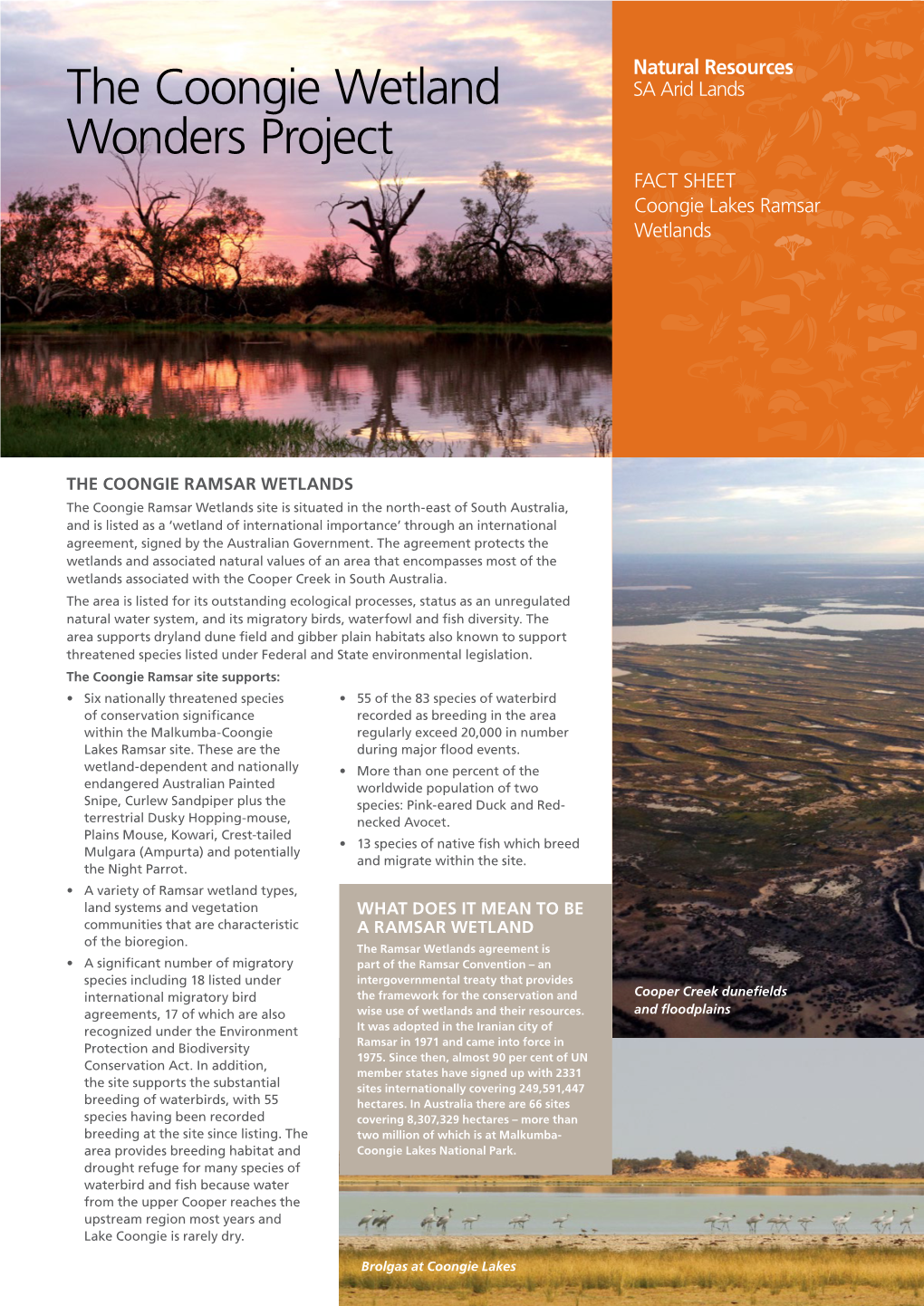 The Coongie Wetland Wonders Project FACT SHEET Coongie Lakes Ramsar Wetlands