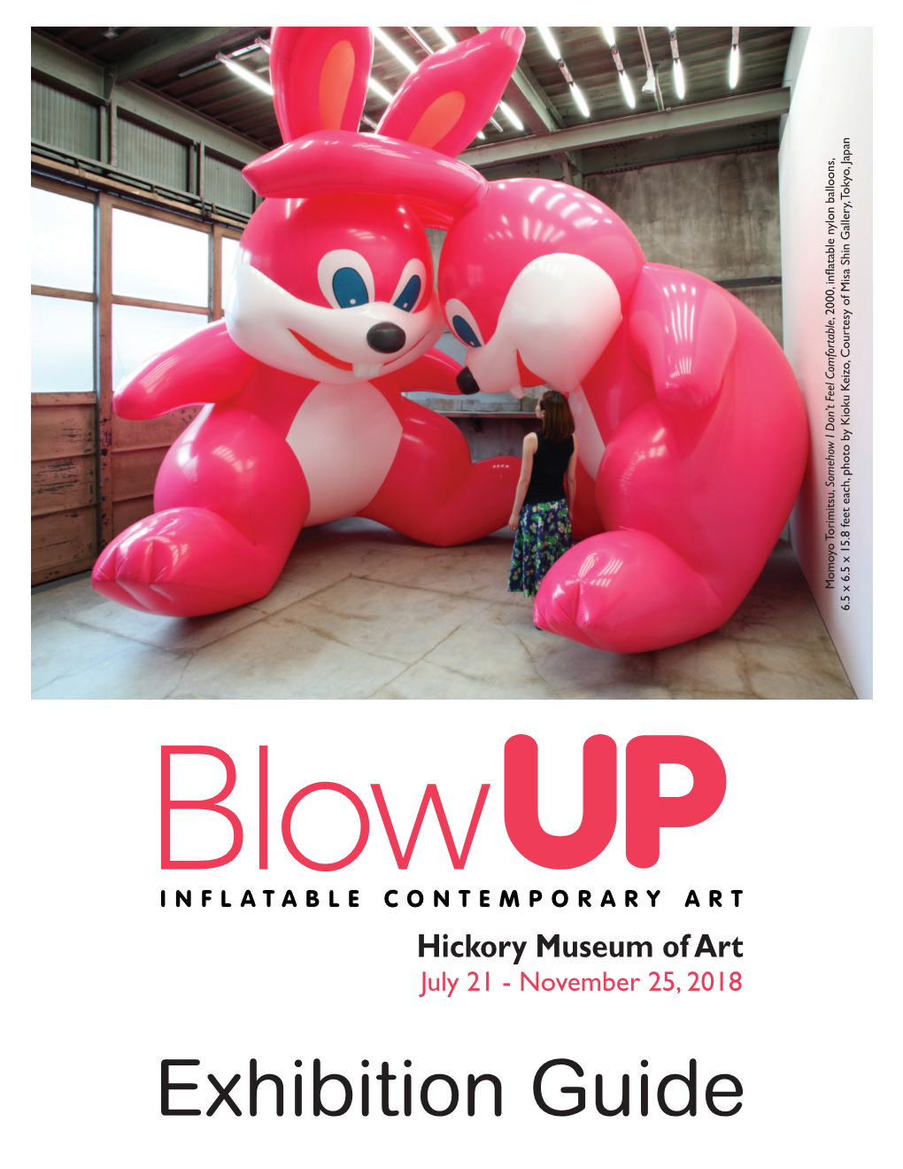 Exhibition-Guide Blow-Up.Pdf