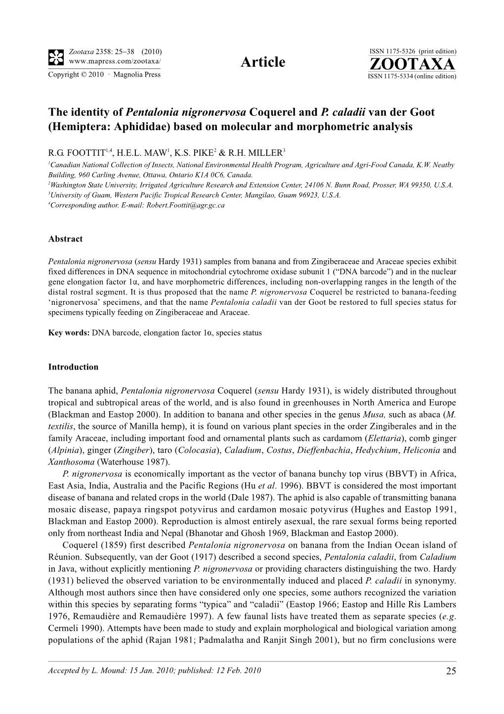 Zootaxa, the Identity of Pentalonia Nigronervosa Coquerel and P