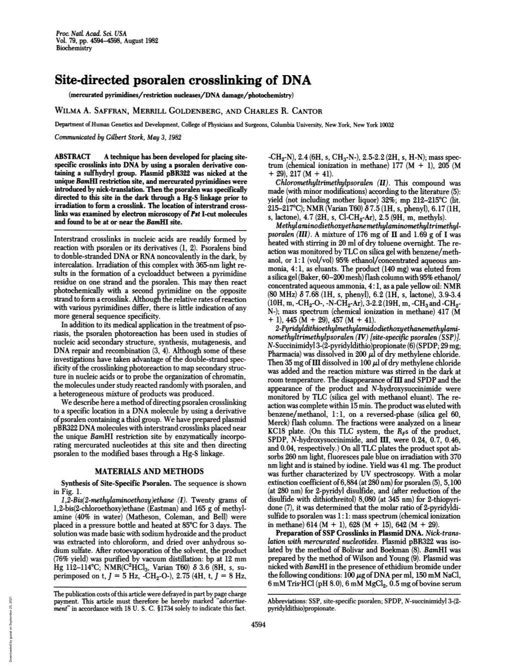 Site-Directed Psoralen Crosslinking of DNA (Mercurated Pyrimidines/Restriction Nucleases/DNA Damage/Photochemistry) WILMA A