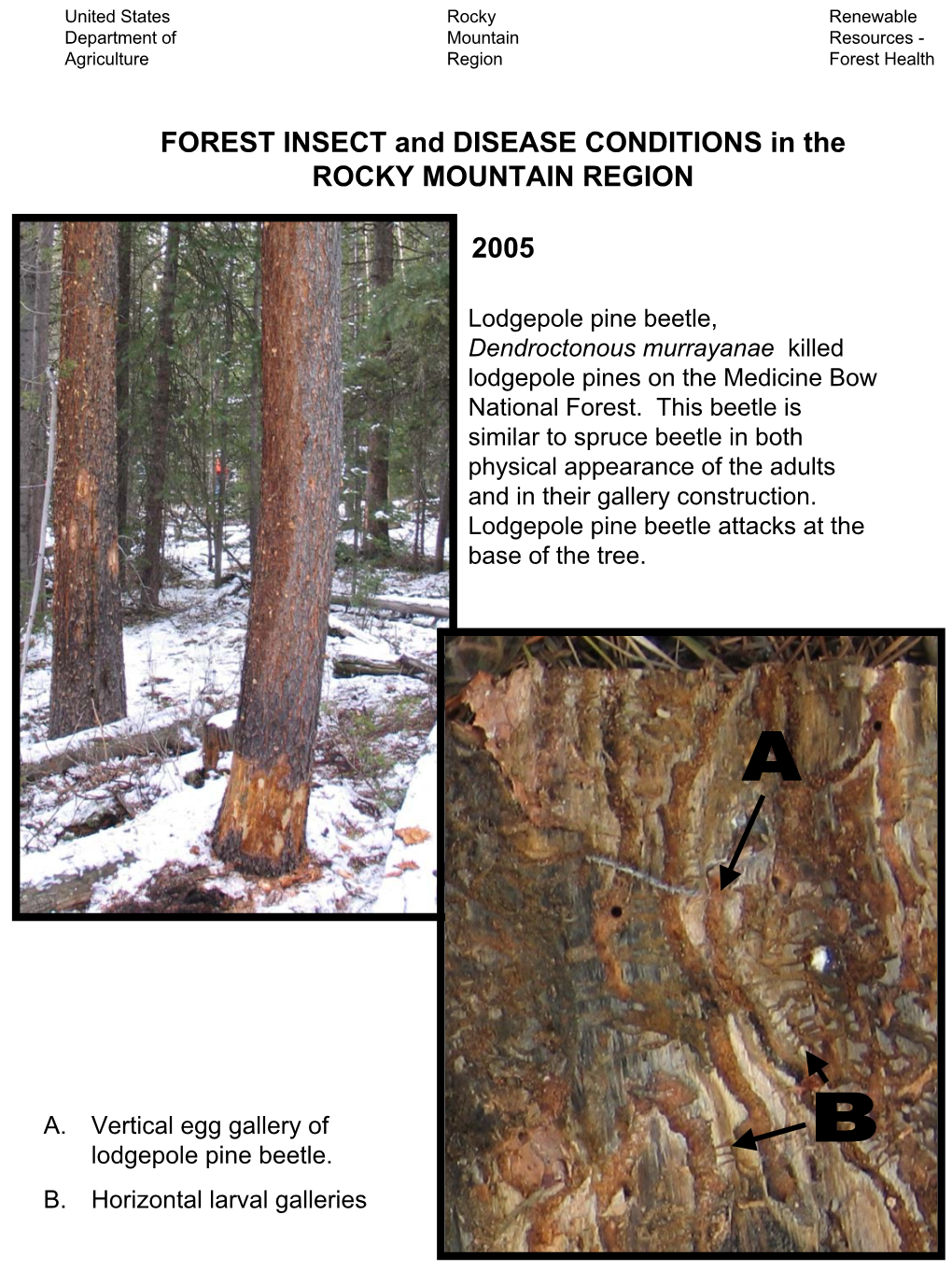 FOREST INSECT and DISEASE CONDITIONS in the ROCKY MOUNTAIN REGION 2005