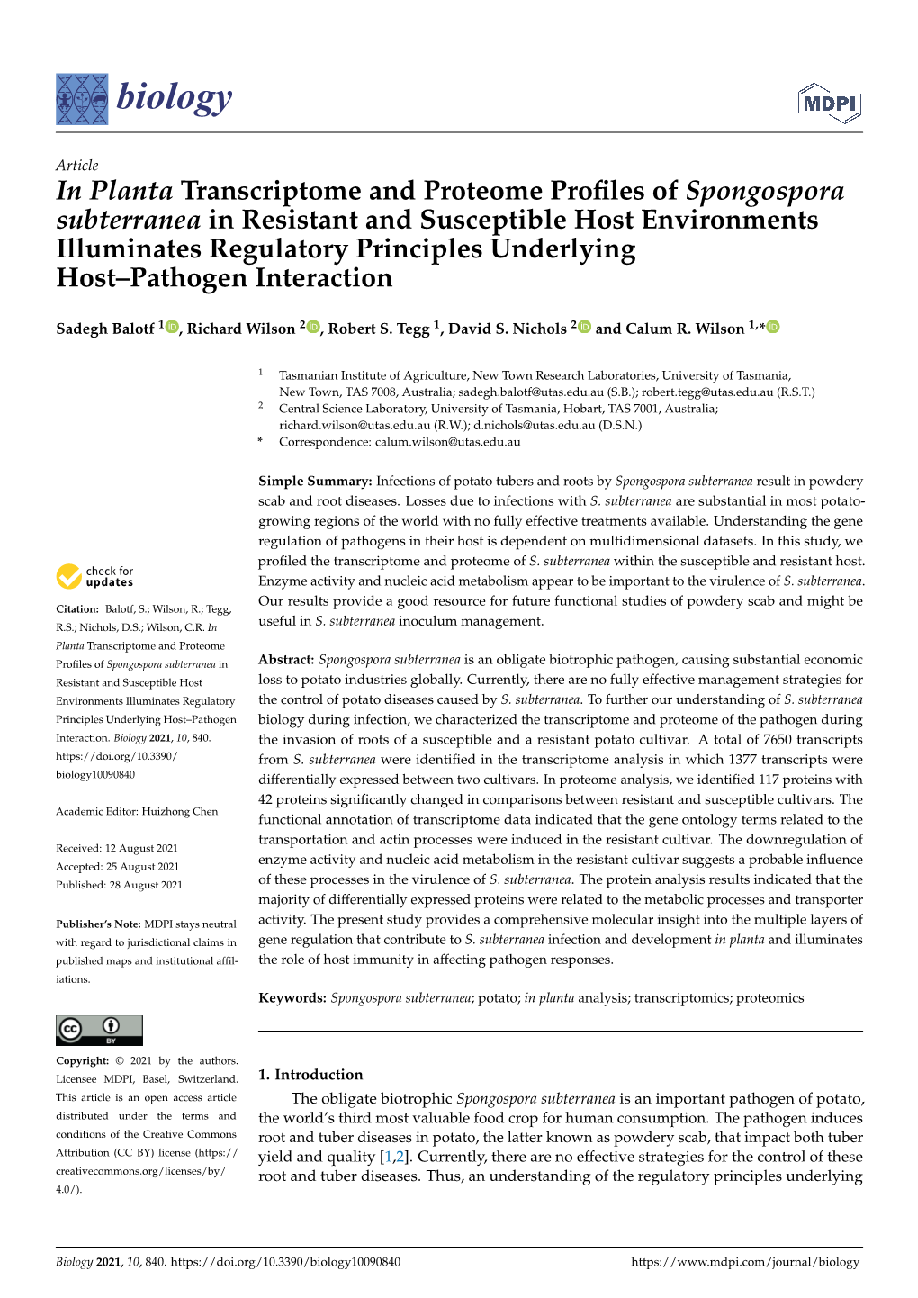 In Planta Transcriptome and Proteome Profiles of Spongospora