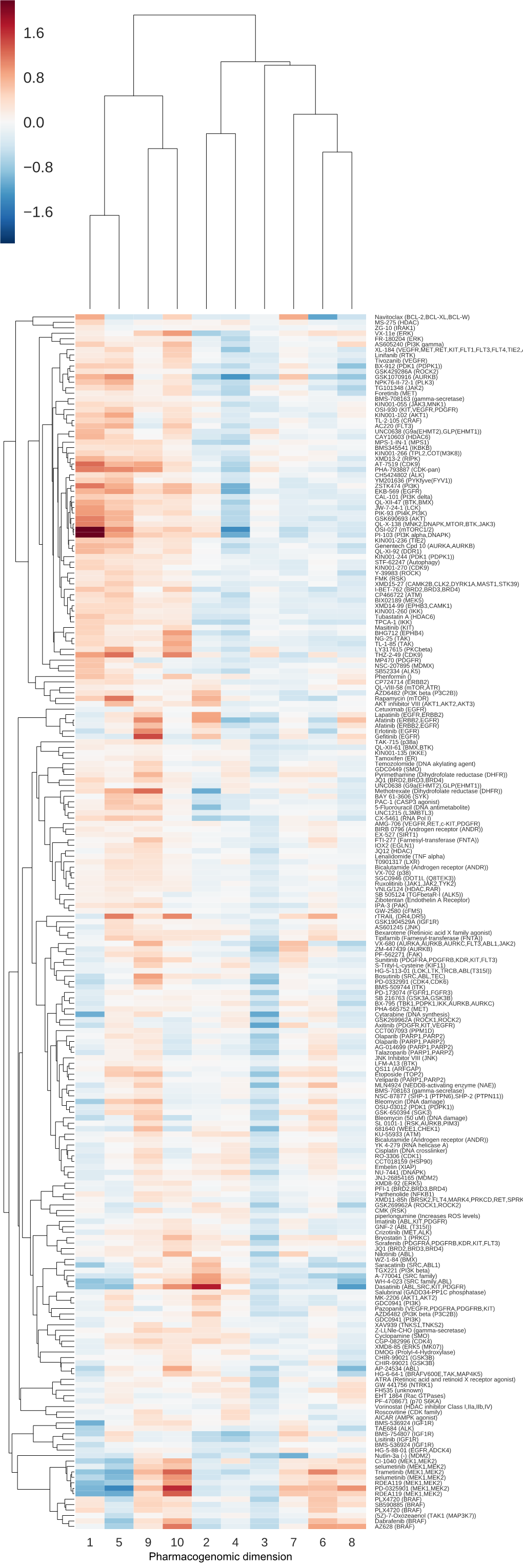 Pharmacogenomic Dimension