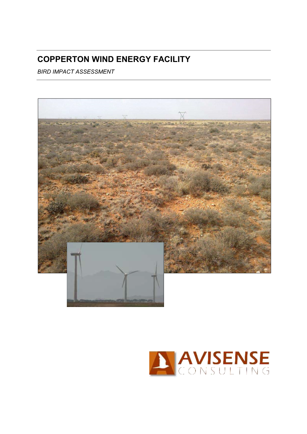 Copperton Wind Energy Facility Bird Impact Assessment
