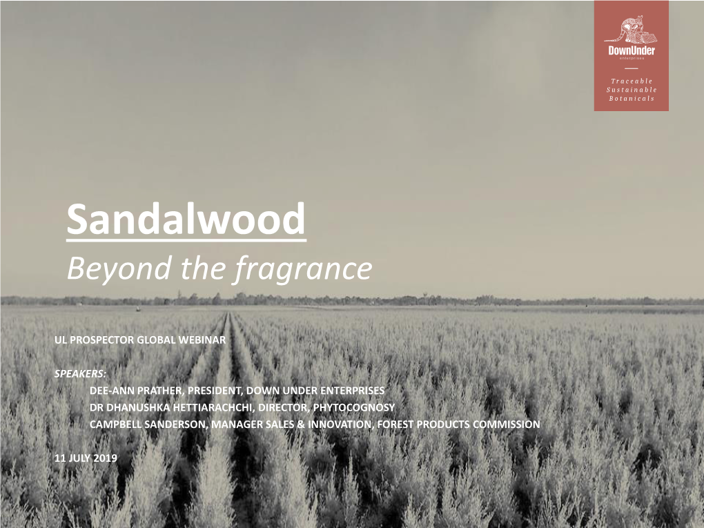 Indian Sandalwood (Santalum Album)