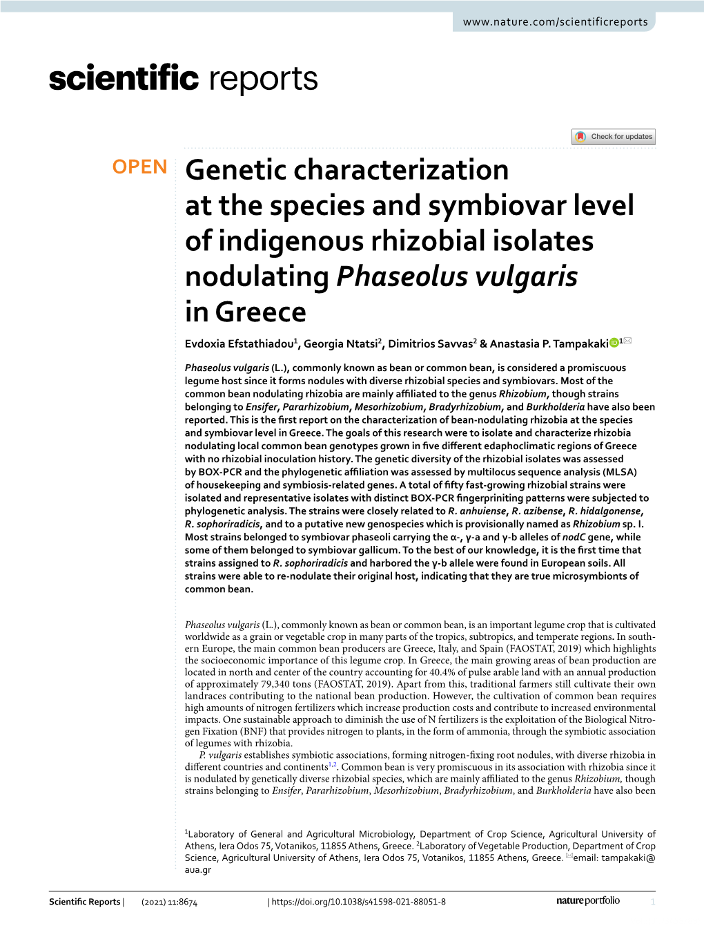 Genetic Characterization at the Species and Symbiovar Level of Indigenous Rhizobial Isolates Nodulating Phaseolus Vulgaris in Gr