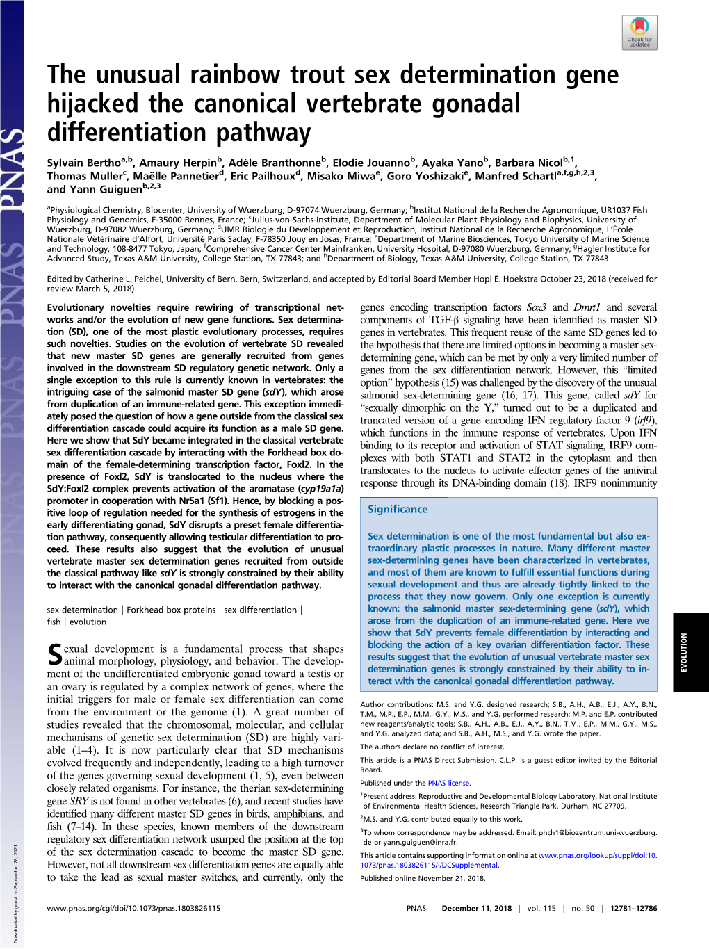 The Unusual Rainbow Trout Sex Determination Gene Hijacked the Canonical Vertebrate Gonadal Differentiation Pathway