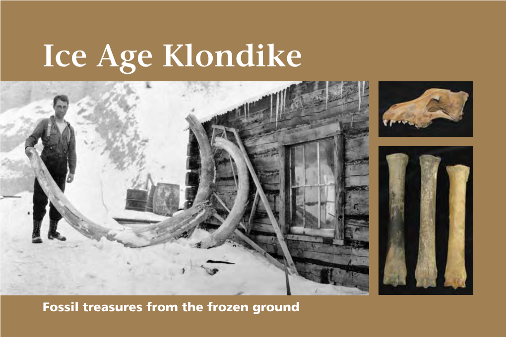 Ice Age Klondike