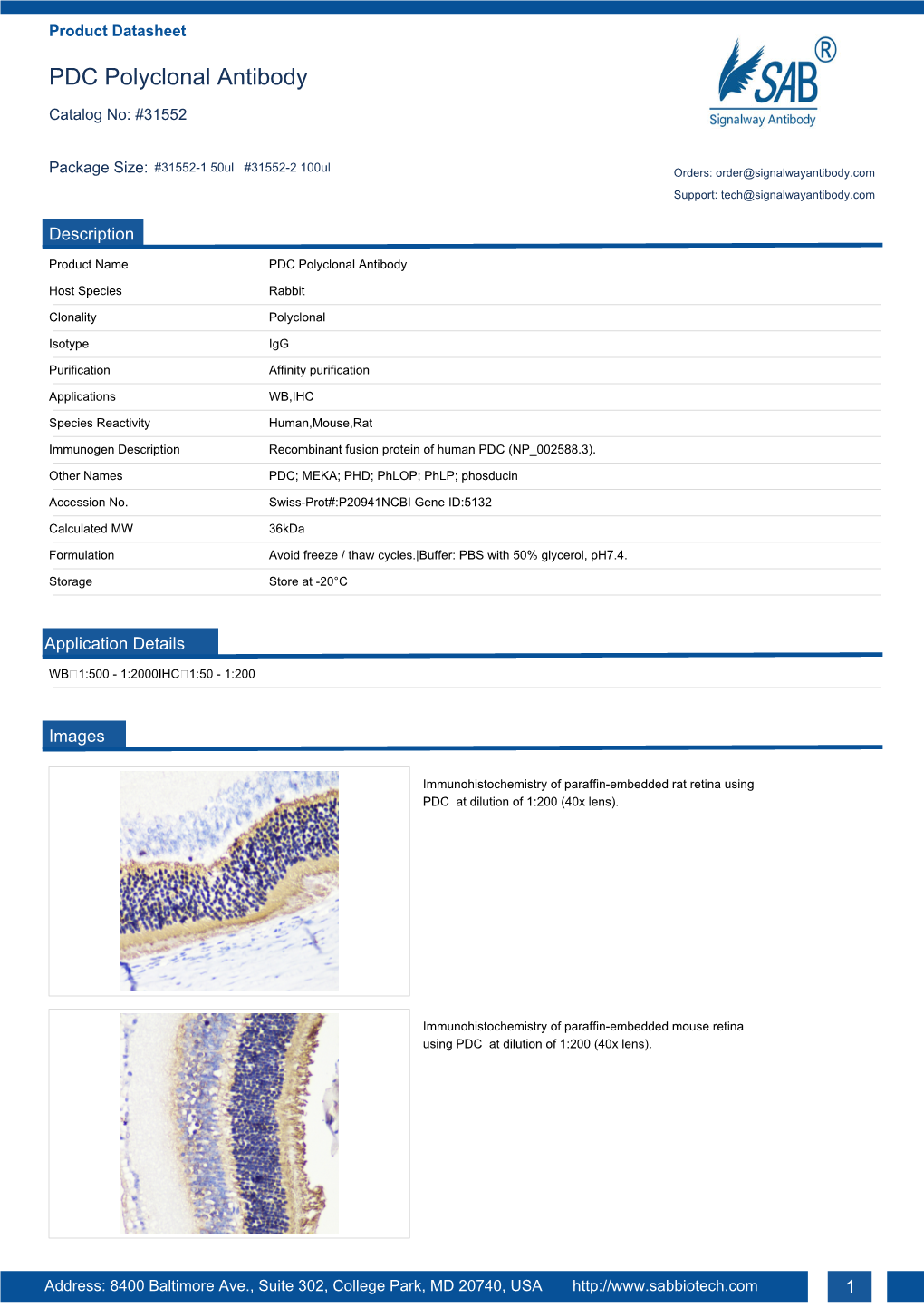 PDC Polyclonal Antibody