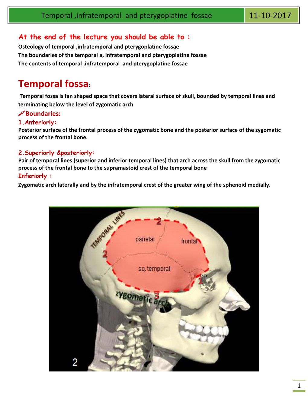 Temporal ,Infratemporal and Pterygoplatine Fossae 11-10-2017