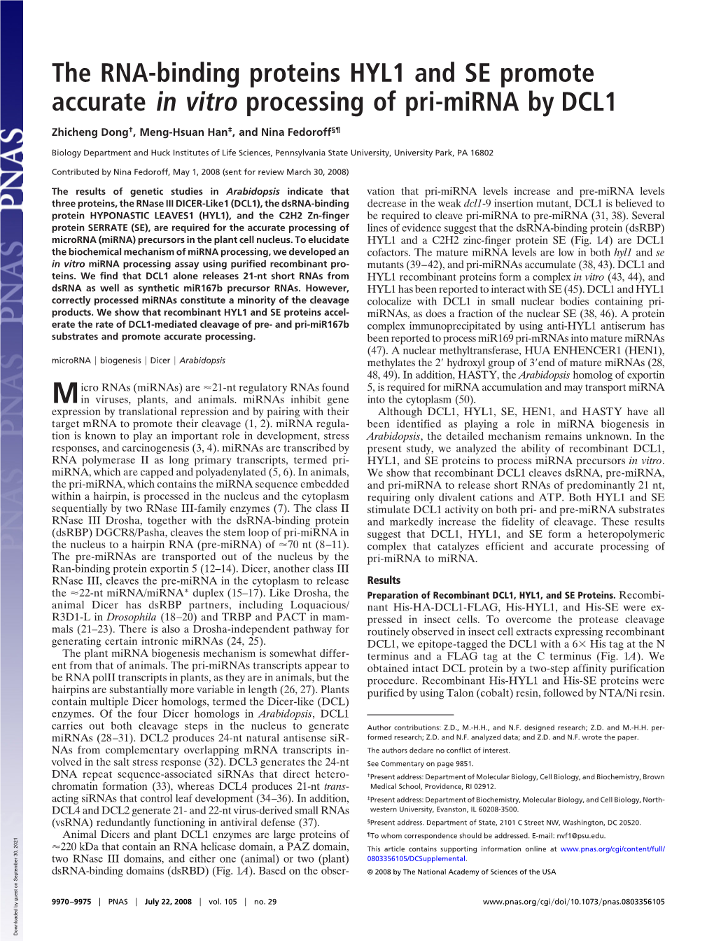 The RNA-Binding Proteins HYL1 and SE Promote Accurate in Vitro Processing of Pri-Mirna by DCL1