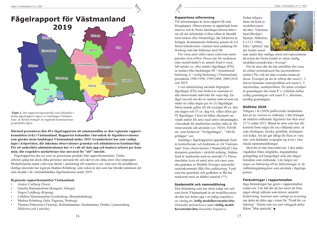 Fågelrapport För Västmanland 2019