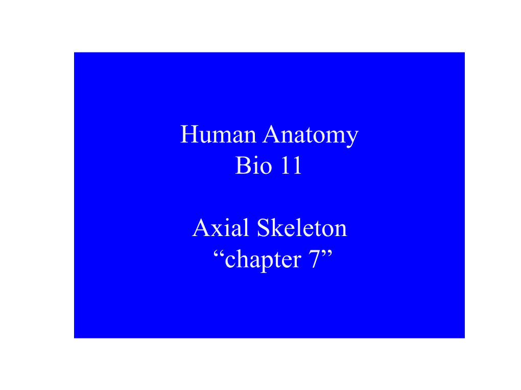 Human Anatomy Bio 11 Axial Skeleton “Chapter 7”