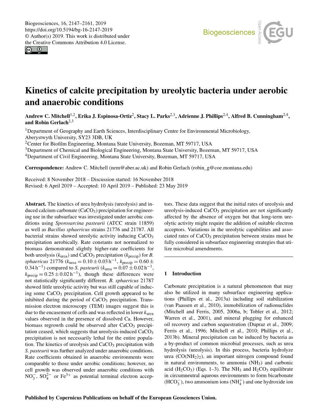 Kinetics of Calcite Precipitation by Ureolytic Bacteria Under Aerobic and Anaerobic Conditions