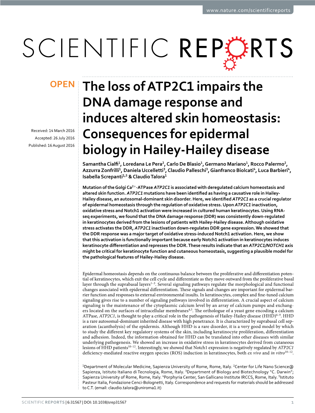 The Loss of ATP2C1 Impairs the DNA Damage Response and Induces