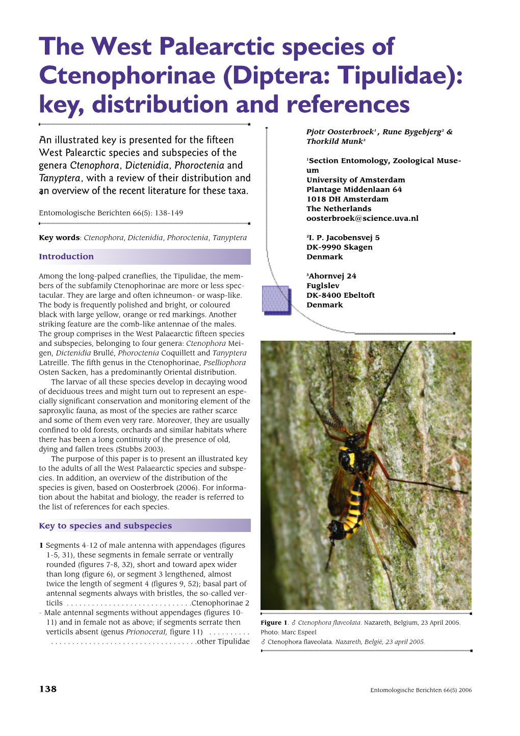 Diptera: Tipulidae): Key, Distribution and References