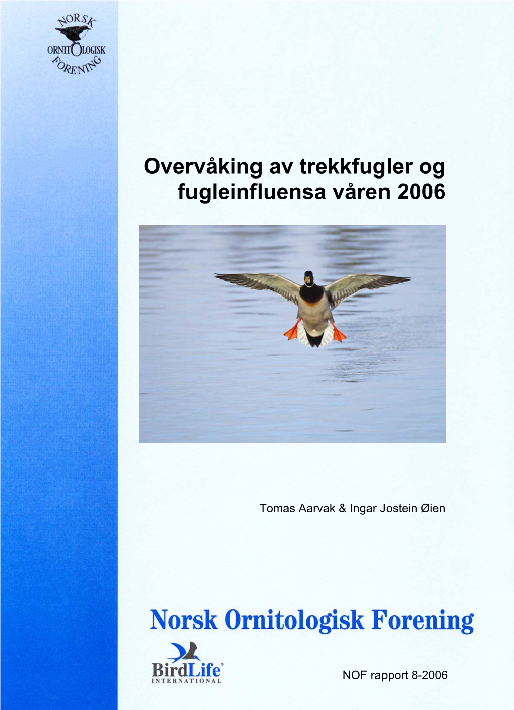 Overvåking Av Trekkfugler Og Fugleinfluensa Våren 2006