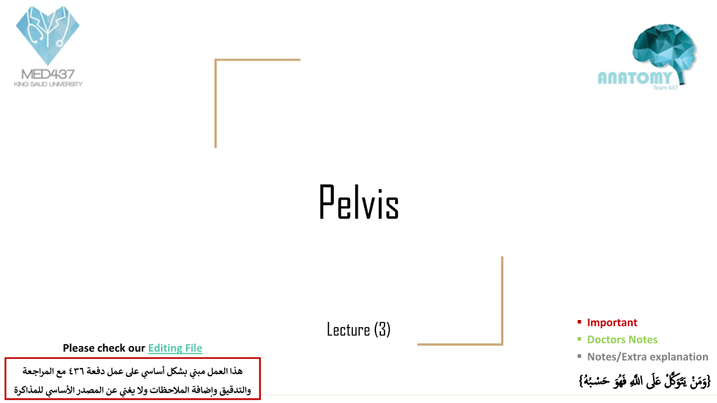 3- Pelvis.Pdf