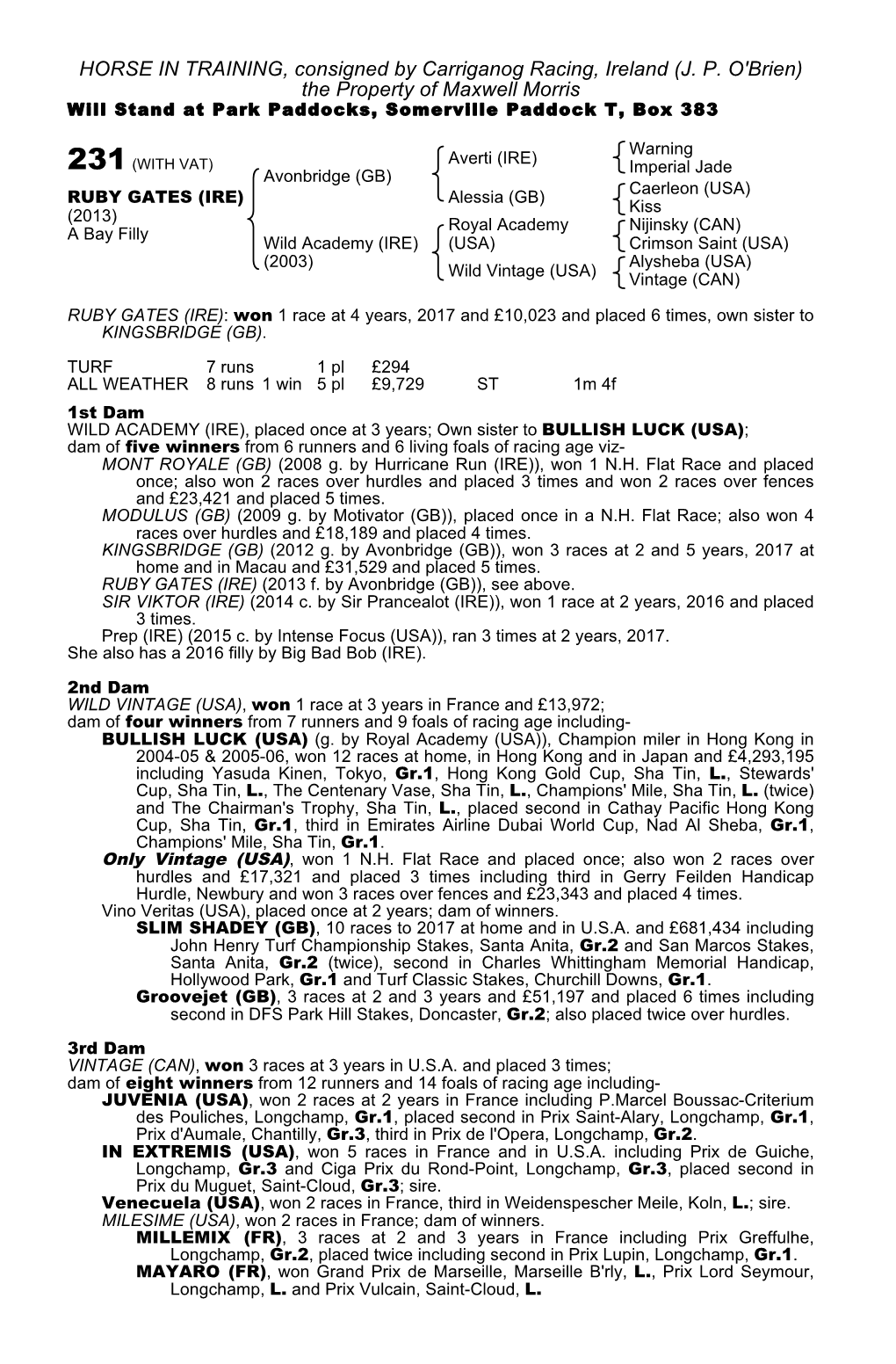 HORSE in TRAINING, Consigned by Carriganog Racing, Ireland (J