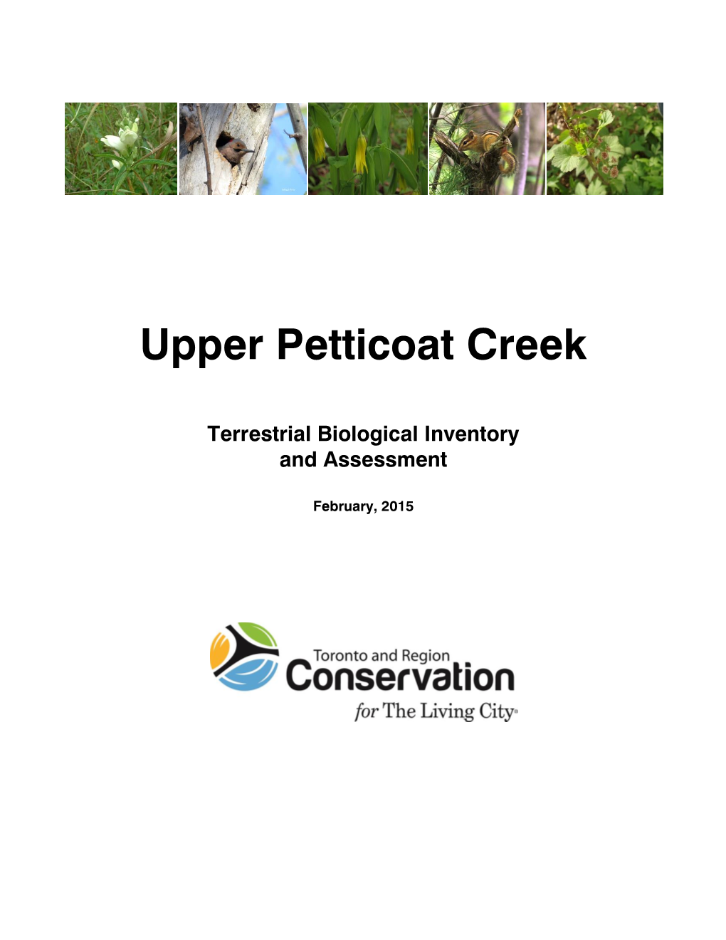Upper Petticoat Creek Terrestrial Biological Inventory And