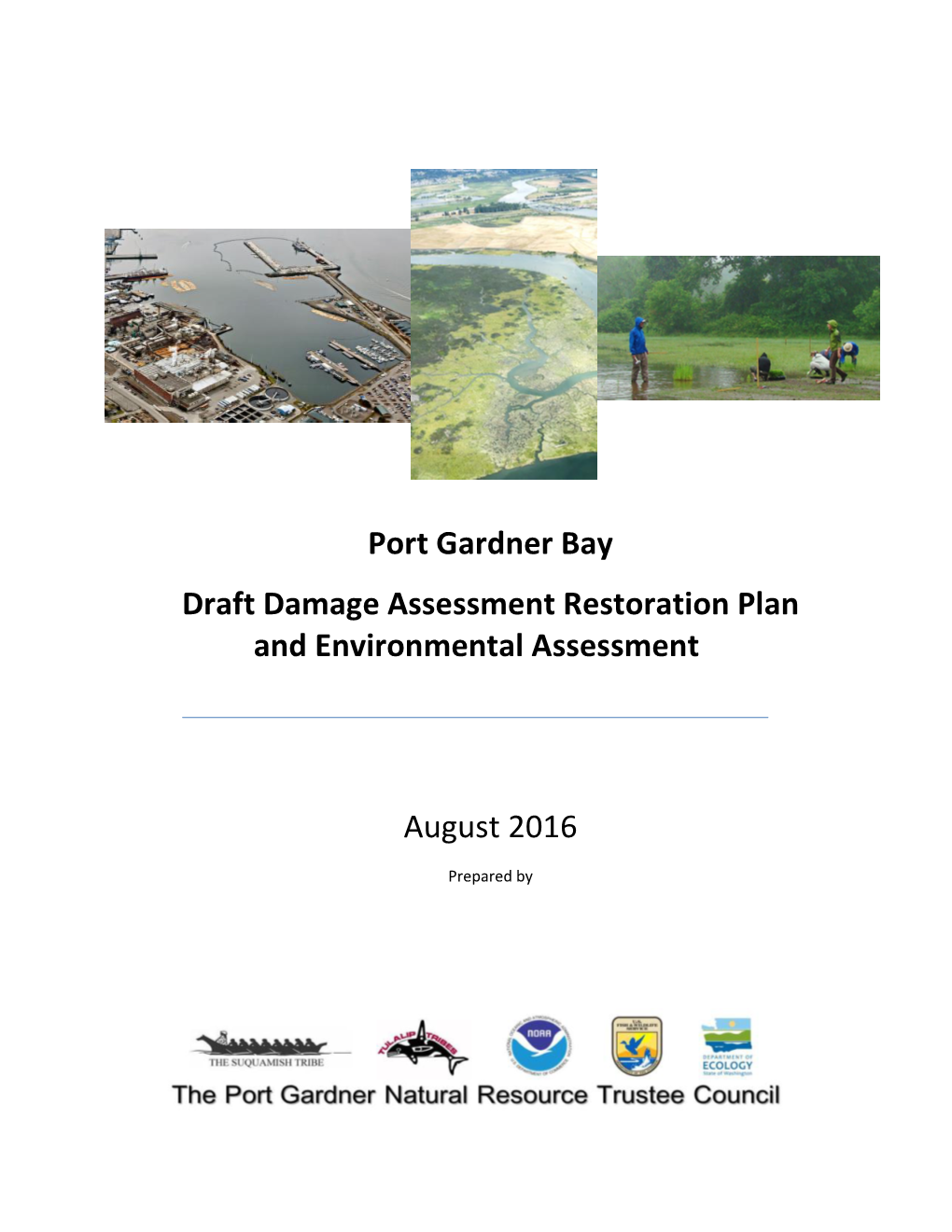 Draft Damage Assessment Restoration Plan and Environmental Assessment