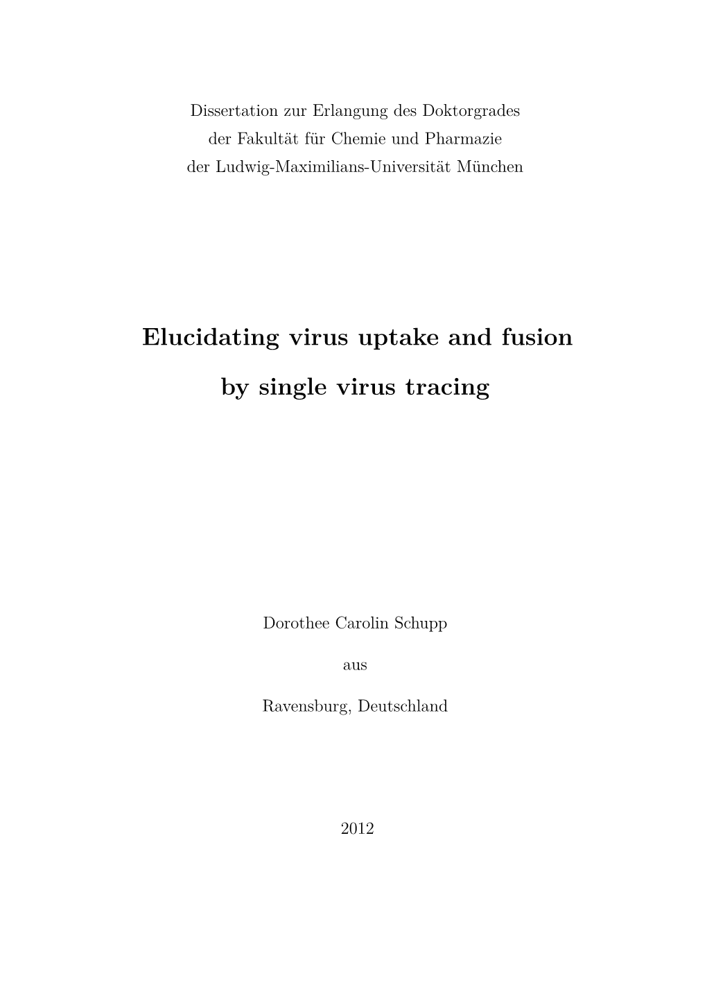 Elucidating Virus Uptake and Fusion by Single Virus Tracing