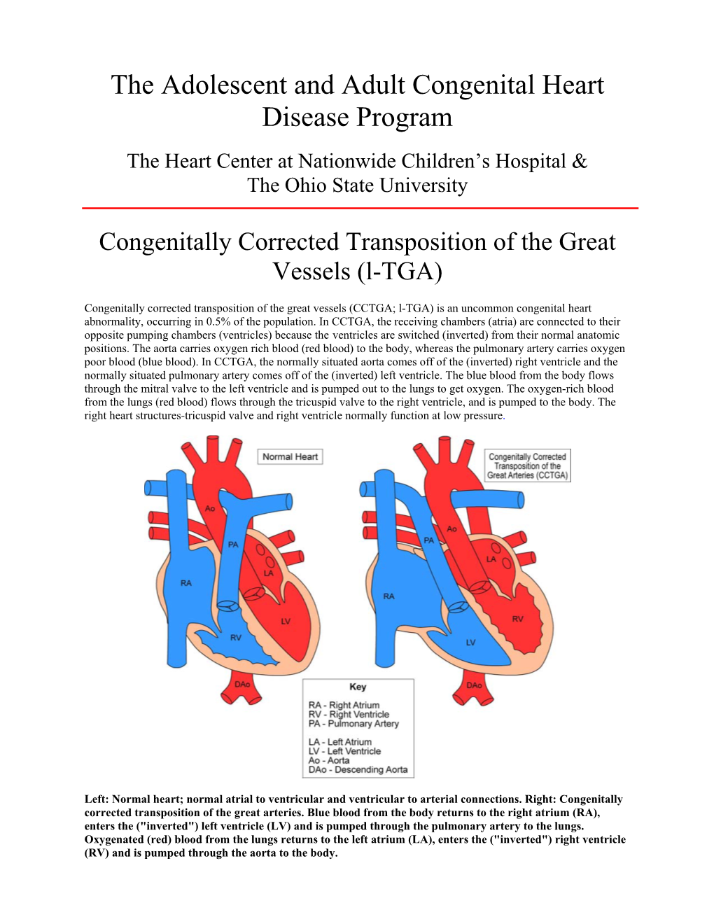 The Adolescent and Young Adult Congenital Heart Disease Program