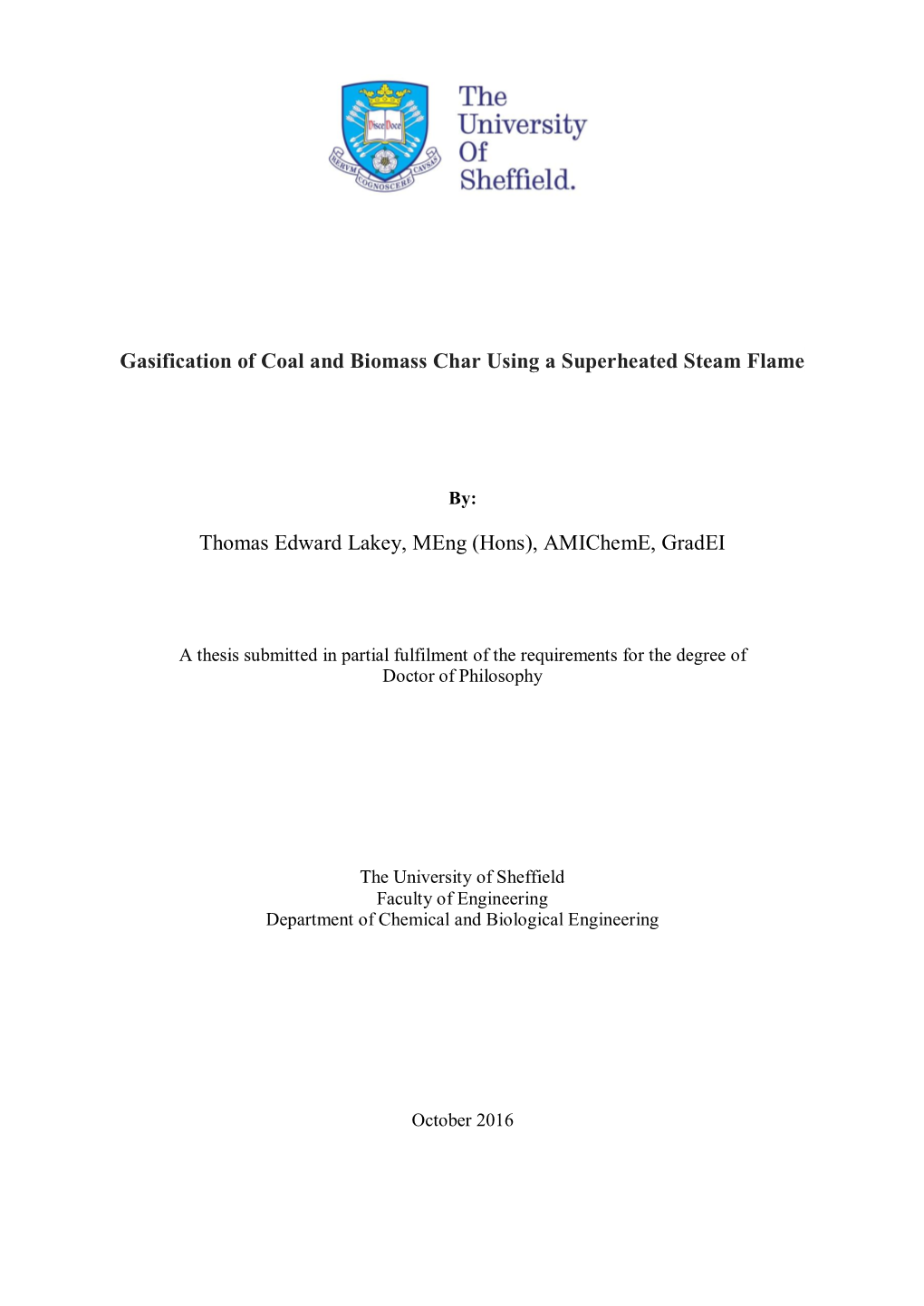 Gasification of Coal and Biomass Char Using a Superheated Steam Flame