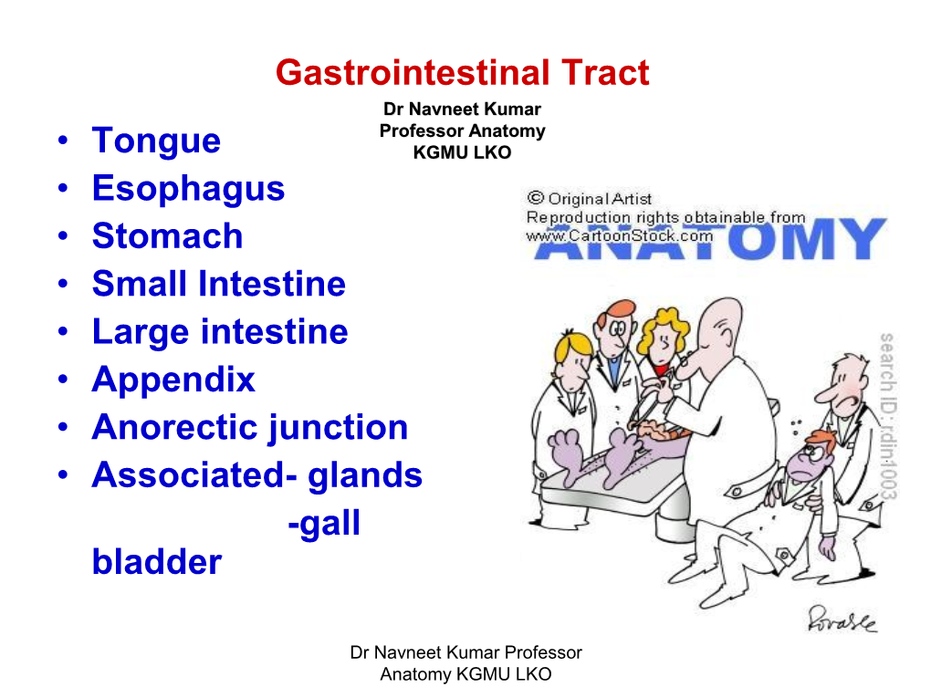 Gastrointestinal Tract HISTOLOGY [PDF]